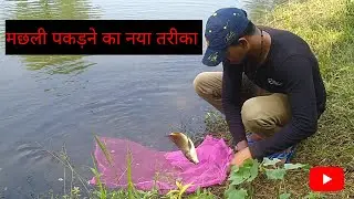 बंसी से मछली पकड़ने का देशी जुगाड़। Amazing Technique To Catch Fish By Hook। Hook Fishing।