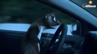 Der Geisterfahrer -- Marten vs. AllSecur  (Karate Version)