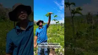 El proceso es importante! #maracuya #chinola #finca #barahona #playa #rd #siembra #turismo #parcha
