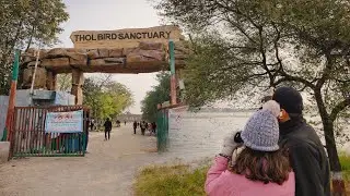 Thol bird sanctuary | birds paradise near Ahmedabad | natural bird sound #thol #birdsanctuary