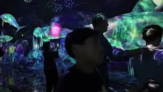Monzon Family Vacation at TeamLab Planet
