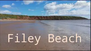 Exploring Filey Beach