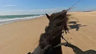 FRANCE ROYAN 2025