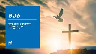 [헌금송] 광야를 지나며 최은석 2026.1.18