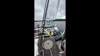 Safety Stops