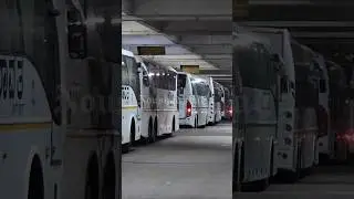 KSRTC - India's number one public transport system🙌 Thia was one of the reason👏The luxury lineup#bus