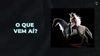 TEORIAS SOBRE O QUE BEYONCÉ VAI ANUNCIAR DIA 14/01/2025