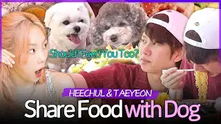 HEECHUL & TAEYEON's CHAOTIC Mukbang with Their Adorable Dogs 🤤🤤