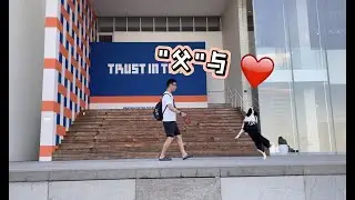 父亲节，铲屎官爸爸对小狗狗想说的话…—border collie Mia