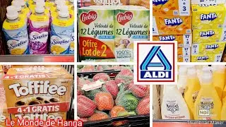 ALDI FRANCE ARRIVAGE 30-01 BONS PLANS COURSES