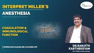 Интерпретация шкалы Миллера | Свертываемость крови и иммунологическая функция | Анестезия | Raaon...