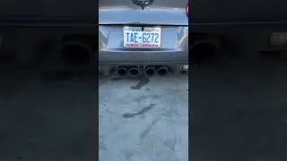 TSP BFD Chop Monster cam LS3 Corvette