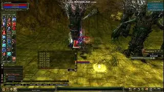 knight online  ronak land base diez kosxp para kasıyolar api bannn