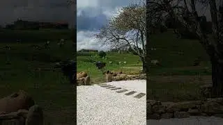 Mar de Lluces de Ítaca