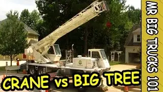 Extreme Tree Removal, Big Crane, Flying Man: MrBigTrucks101