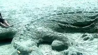 sandcastle dragon