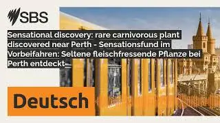 Sensational discovery: rare carnivorous plant discovered near Perth - Sensationsfund im...