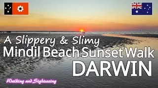 Mindil Beach Sunset Walk 🌅 Slippery & Slimy in Darwin Northern Territory Australia Tropical Paradise