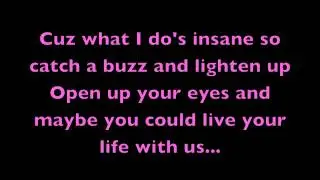 M.I.C. (Dank Moody) - Madhouse (Lyric Video RARE)