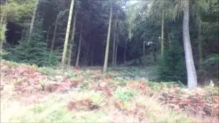 downhilling