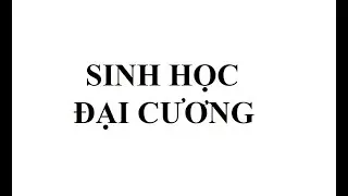 [SHPT] Các loại RNA