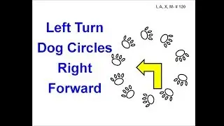 120. Left Turn - Dog Circles Right - Forward