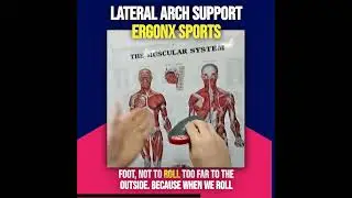 Lateral arch support Ergonx Sports Insole: