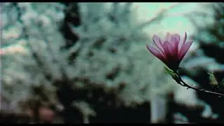 April Showers (2009) - Canon XL1s [Remastered]