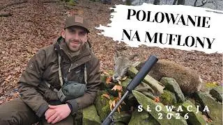 Słowacka przygoda - polowanie na muflony w g&oacute;rach