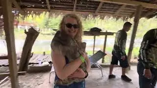 Walking Into the Mayan Jungle Canopy With Sloths, Monkeys, and Macaws in Roatan, Honduras