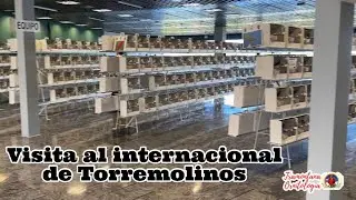 Visita al internacional de TORREMOLINOS