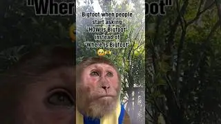 Bigfoot when people start asking 