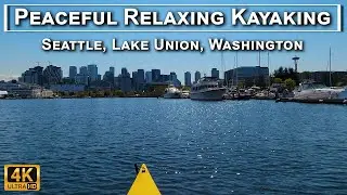 Peaceful Relaxing Kayaking on Lake Union in Seattle, Washington in 4K UHD