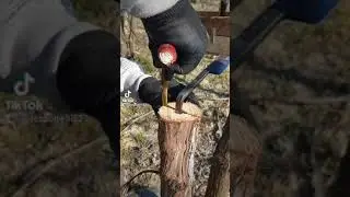 innesti vu viti di 29 anni