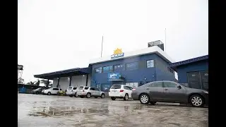 How I Started Frozen Fish Business in Nigeria - A compelling story by the CEO of New Age Group