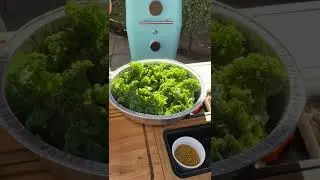 Everdure recept   Chef Bart Beek  4K   Boerenkoolchips