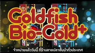 Hikari Goldfish Bio-Gold+ สุดยอดอาหารปลาทอง สูตรใหม่