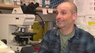 UC Davis study finds breakthrough in deadly cat virus with potential human impact