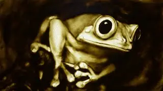 Animal Portraits in Sand | Relaxing Sand Art