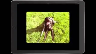 Create a Movie Using Google Photo
