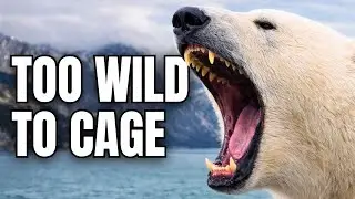 5 Animals That HATE Captivity, and 3 That LOVE It!