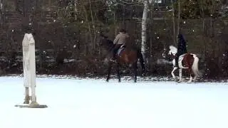 Reitabzeichen Reiterhof Konle - REITPASS - 2