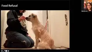 Origins LUHD: Operant Conditioning of Puppies Nikki Puccini