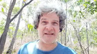 Gary's survivor story - ritual abuse v ECT effects