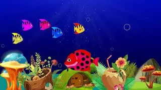 Mozart for Babies Brain Development 🧠  Deep Sleep Music & Lullaby for Better Sleep