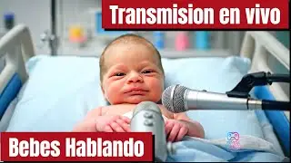 Los mejores videos de bebes hablando