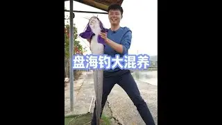 坑中坑之老板掉进坑 #原来钓鱼才是抖音运动顶流 #dou是钓鱼人 #2026dou来钓鱼