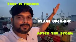 Aftermath Fengal storm, let&rsquo;s rebuild our mini zoo | planning house for pets | fur and fin #petsvlog