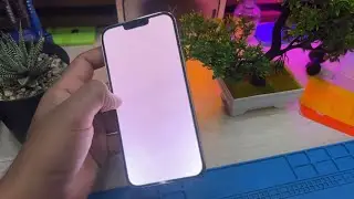 Pantalla blanca en iPhone 13 Pro Max | cómo arreglarla sin reemplazar pantalla. 