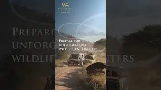 Wildlife Encounters Safari Excursions at White River Manor